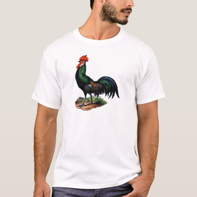 T-shirt Antique Green Feathers Rooster (Devant)