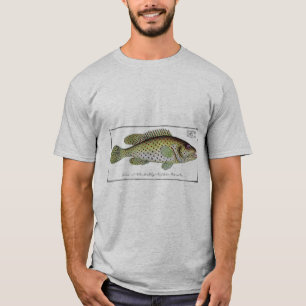 T-shirt Antique Histoire naturelle Poisson no 1