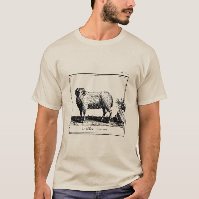 T-shirt Antique Merino Sheep (Devant)