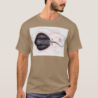 T-shirt Antique Stingray