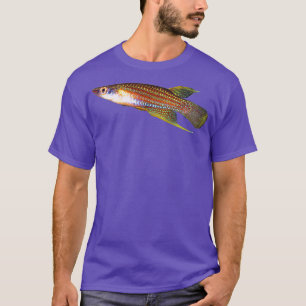 T-shirt Aplocheilus parvus Killifish