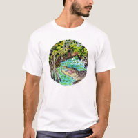 Aquarelle du parc national des Everglades