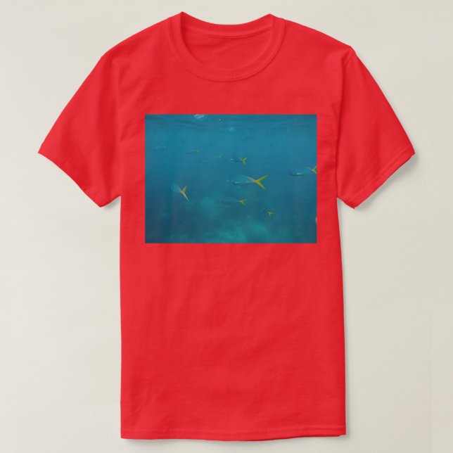 T-shirt Aquarium 85 (Design devant)