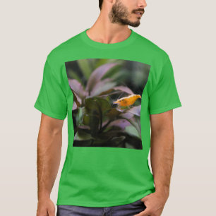 T-shirt Aquarium crevettes