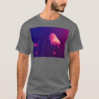 T-shirt Aquarium Jelly Fish