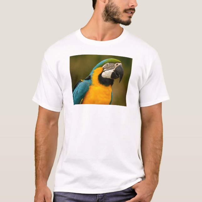 T-shirt ara (Devant)