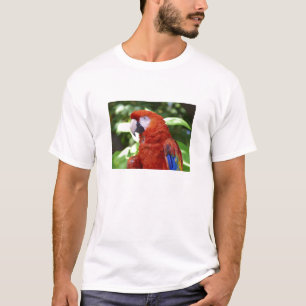 T-shirt Ara d'écarlate