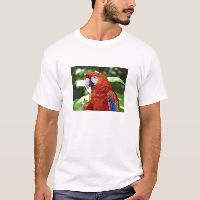 T-shirt Ara d'écarlate (Devant)