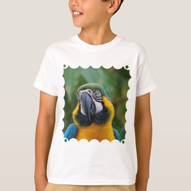 T-shirt Ara doux de bleu et d'or (Devant)