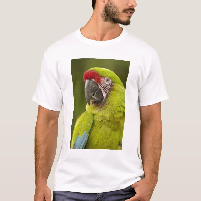 T-shirt Ara militaire (Devant)