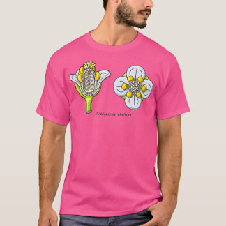 T-shirt Arabidopsis thaliana Illustration