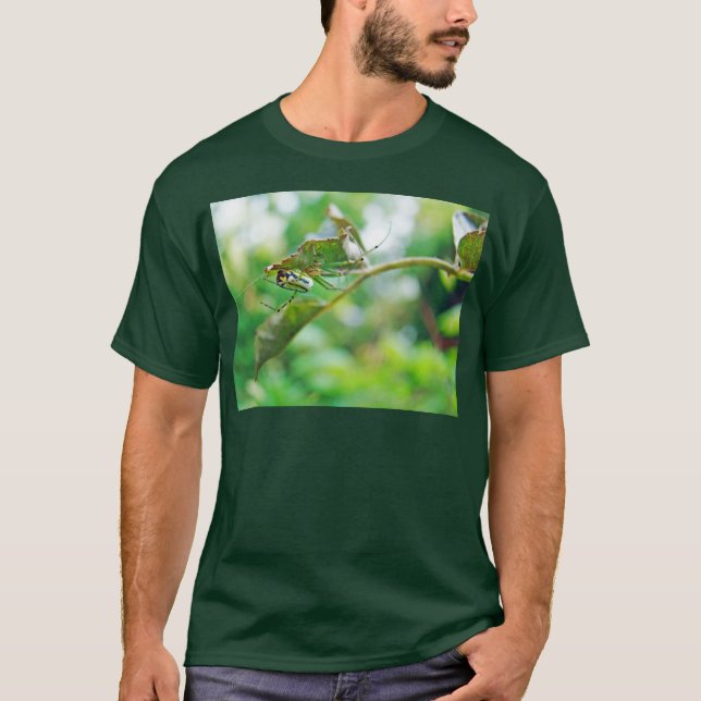 T-shirt Araignée de verger à orbite - Leucauge venusta (Devant)