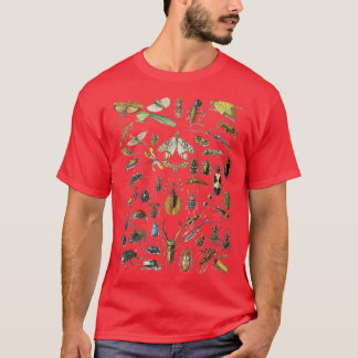 T-shirt Araignée d'insectes de Millot d'Adolphe