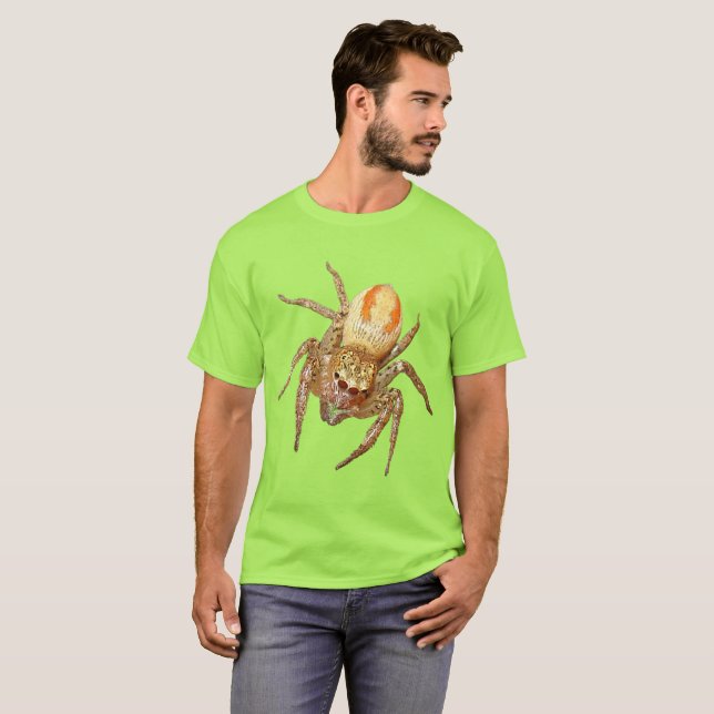 T-shirt Araignée sauteuse dimorphe (Maevia inclemens) (Devant entier)