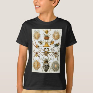 T-shirt Araignées des arachnides d'Ernst Haeckel