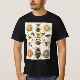 T-shirt Araignées ou arachnides vintage par Ernst Haeckel