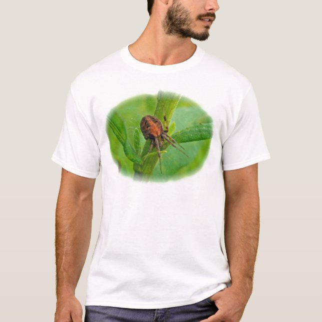 T-Shirt Araneus Orange Marron (Devant)