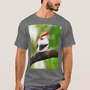 T-shirt Araripe Manakin