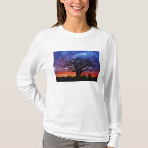 T-shirt arbre baobab africain, Adansonia digitata, 2