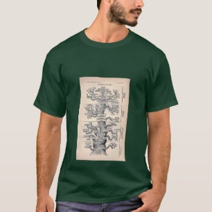 T-shirt Arbre De Vie / Pedigree De L'Homme