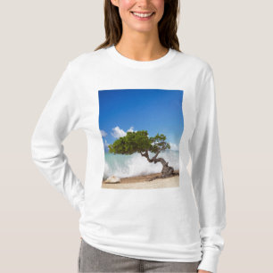 T-shirt Arbre Divi Divi, Eagle Beach, Aruba, Caraïbes