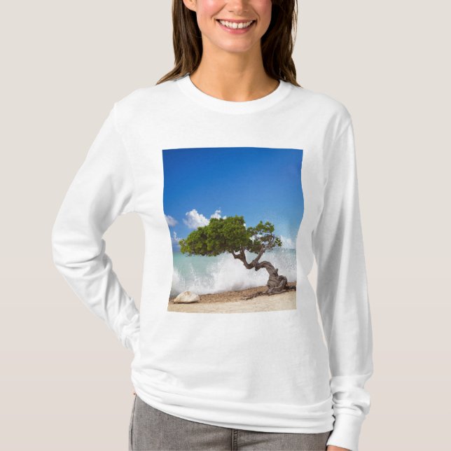 T-shirt Arbre Divi Divi, Eagle Beach, Aruba, Caraïbes (Devant)