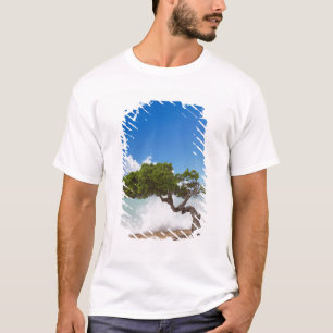 T-shirt Arbre Divi Divi, Eagle Beach, Aruba, Caraïbes