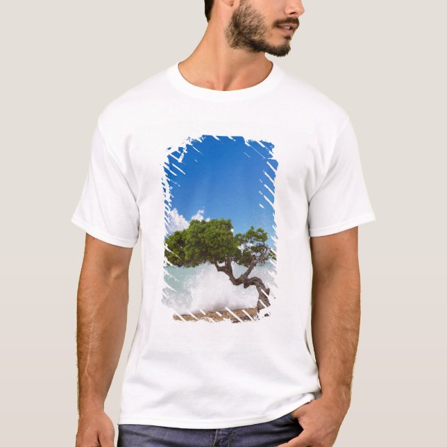 T-shirt Arbre Divi Divi, Eagle Beach, Aruba, Caraïbes (Devant)
