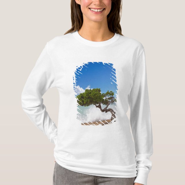 T-shirt Arbre Divi Divi, Eagle Beach, Aruba, Caraïbes (Devant)