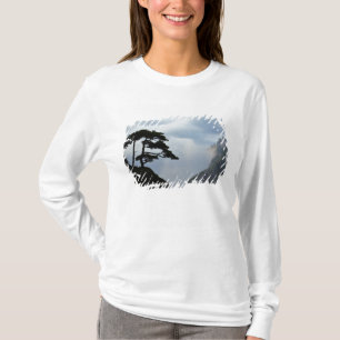 T-shirt Arbre en silhouette au lever du soleil, Montagne J