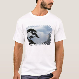 T-shirt Arbre en silhouette au lever du soleil, Montagne J