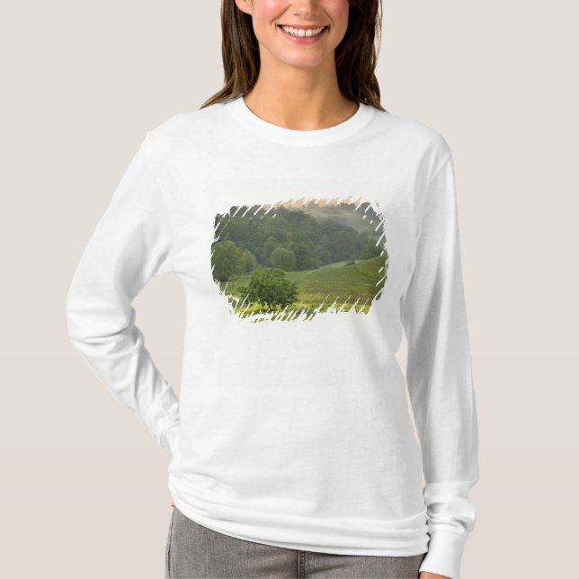 T-shirt Arbre isolé dans un champ agricole, Toscane, (Devant)