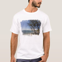 Arbre sur une plage le long du littoral