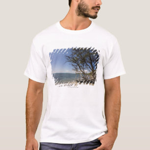 T-shirt Arbre sur une plage le long du littoral