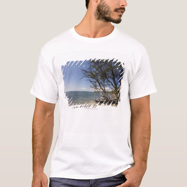 T-shirt Arbre sur une plage le long du littoral (Devant)