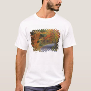 T-shirt Arbres d'automne bordent la route dans le parc d'É