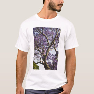 T-shirt Arbres de jacaranda en fleurs dans le parc New Far