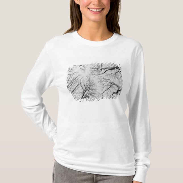 T-shirt Arbres sans feuilles en bois de Thiepval (Devant)