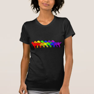 T-shirt Arc-en-ciel Flatcoat