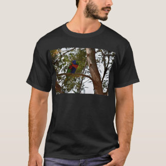 T-SHIRT ARC-EN-CIEL LORIKEET QUEENSLAND RURAL AUSTRALIE