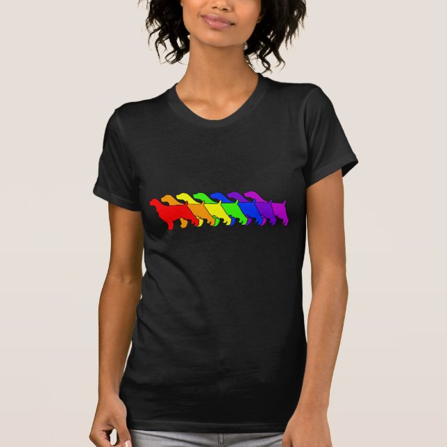 T-shirt Arc-en-ciel Springer (Devant)