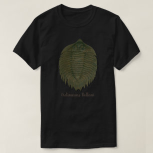 T-shirt Arctinrus Boltoni Trilobite Fossil