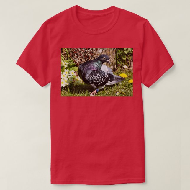 T-shirt Are you dissing me girlfriend 1 (Design devant)