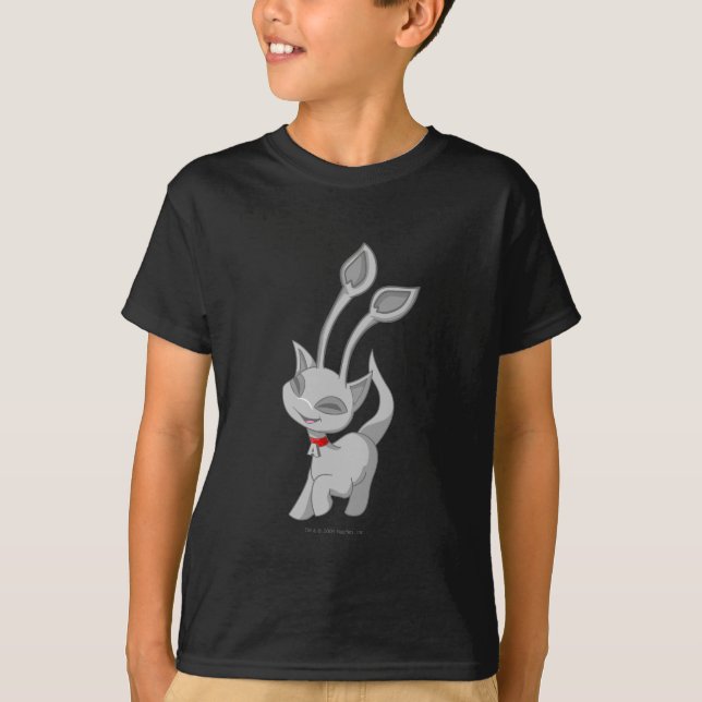 T-shirt Argent d'Aisha (Devant)
