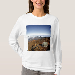 T-shirt Argyroxiphium sur le bord du cratère Haleakala de