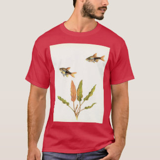T-shirt Arlequin Barb Trigonostigma heteromorpha