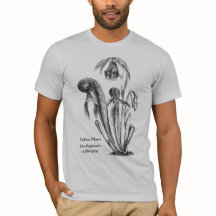 Art botanique d'usine de cobra