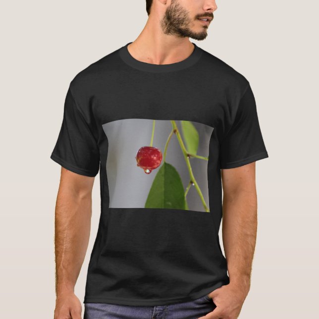 T-shirt Art de la goutte de fruits (Devant)