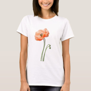 T-shirt art papillon, liberté fragile, œuvre d'art émotion