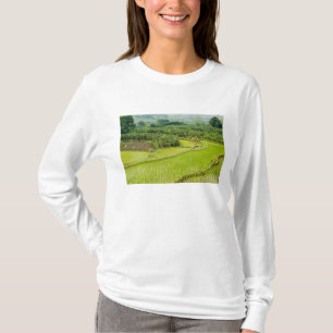 T-shirt Asie, Chine, province du Yunnan, Honghe. Banane